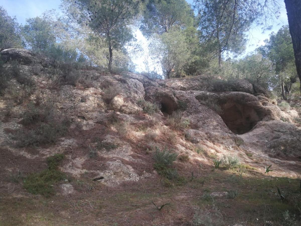 Alojamiento Rural El Paraíso del Chorro Villa Exterior foto