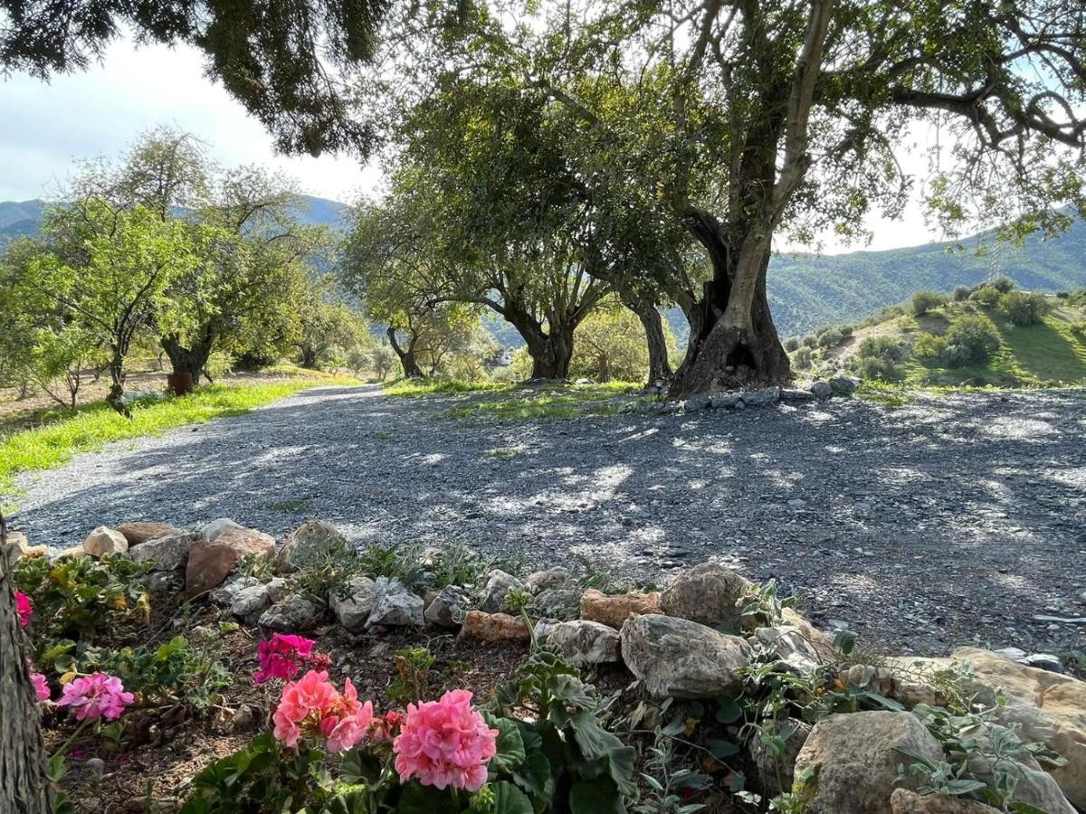 Alojamiento Rural El Paraíso del Chorro Exterior foto