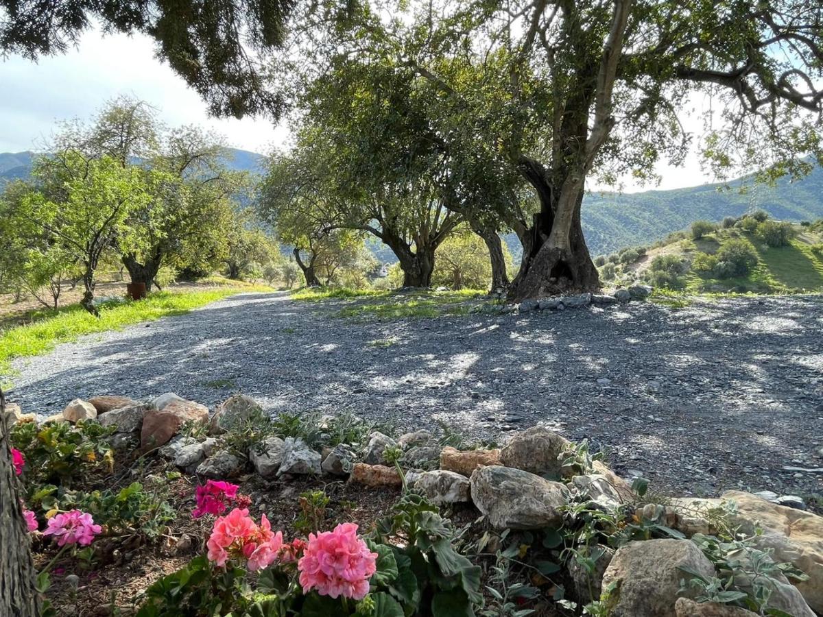 Alojamiento Rural El Paraíso del Chorro Villa Exterior foto